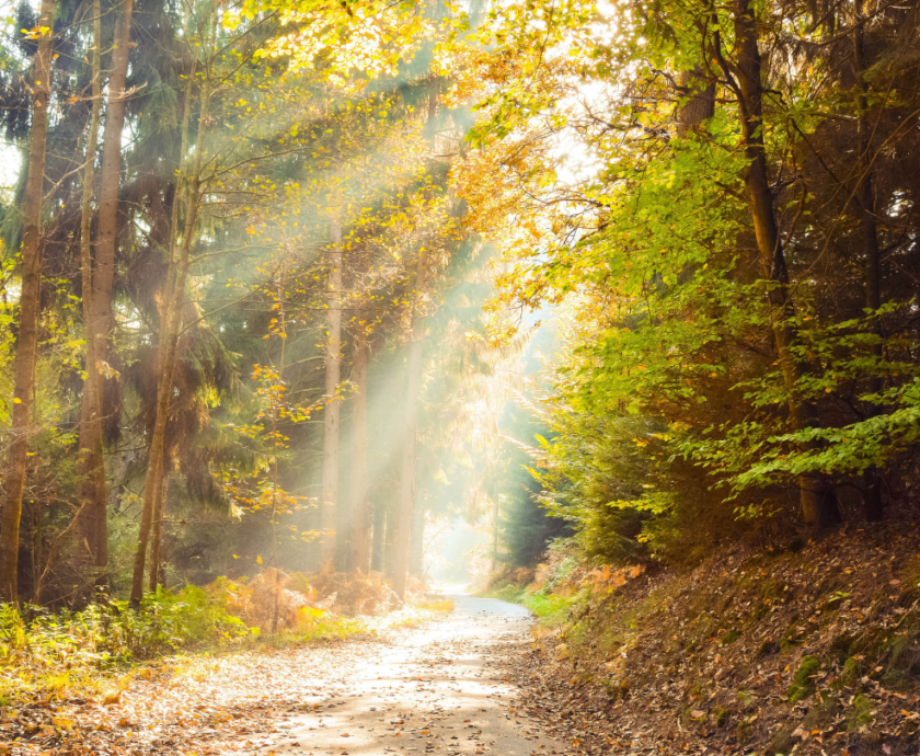 path-of-recovery-porn-addiction